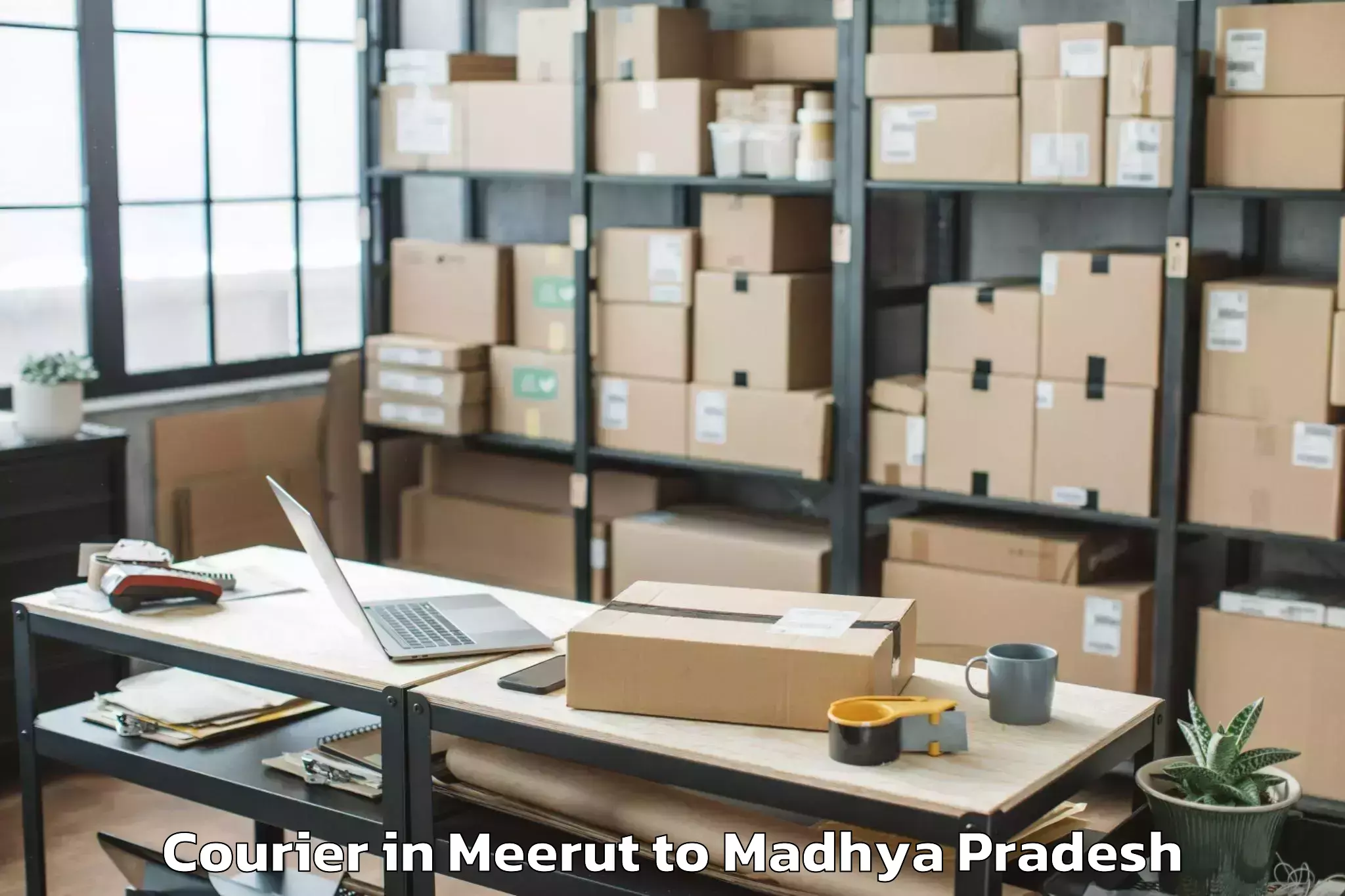 Professional Meerut to Khargone Courier